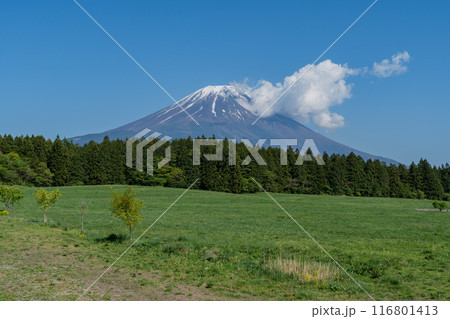 道の駅 - 朝霧高原 - 富士山展望台 116801413