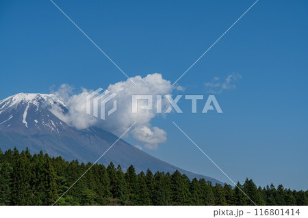 道の駅 - 朝霧高原 - 富士山展望台 道の駅 - 朝霧高原 - 富士山展望台 116801414