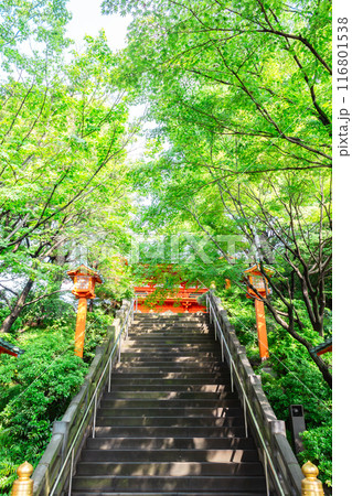 穴八幡宮 116801538