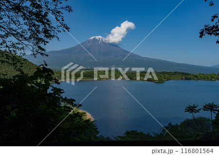 田貫湖 - たぬき展望台 116801564