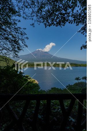 田貫湖 - たぬき展望台 116801565