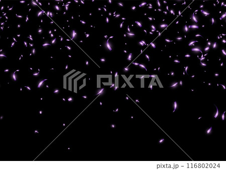 Purple confetti, falling paper ribbons isolated on dark background. Birthday party decoration. 116802024