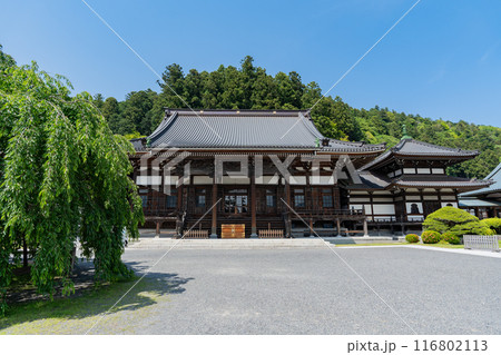 身延山久遠寺 116802113