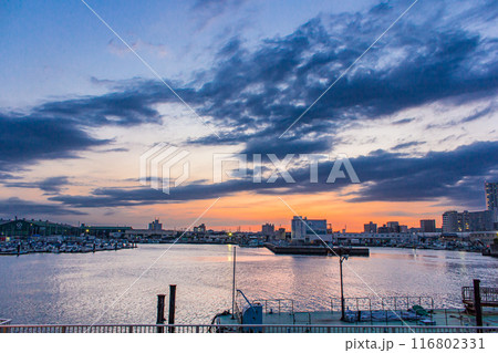 船橋の夕暮れ 116802331