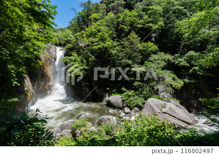 昇仙峡 - 仙娥滝 昇仙峡 - 仙娥滝 116802497