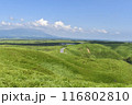 広大な草原と青空 / 阿蘇 熊本 116802810