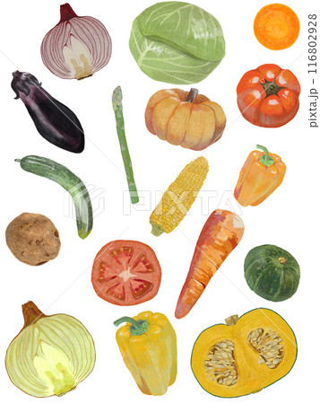 野菜パターン_白背景_縦 116802928