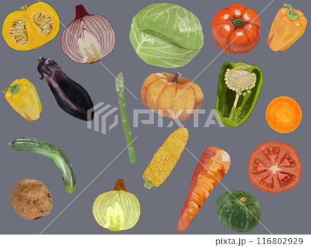 野菜パターン_灰背景_横 116802929