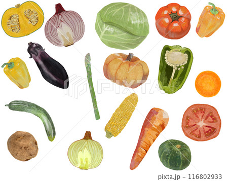 野菜パターン_白背景_横 野菜パターン_白背景_横 116802933