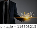 Businessman Hand Hold Tablet and Stock Market Graph and Online Products 116803213