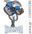 White Shark Football 116803286