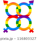 LGBT PRIDE RAINBOW 116803327