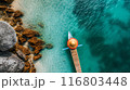 Aerial View of Tropical Beach with Boat 116803448