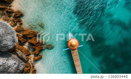 Aerial View of Tropical Beach with Boat 116803448