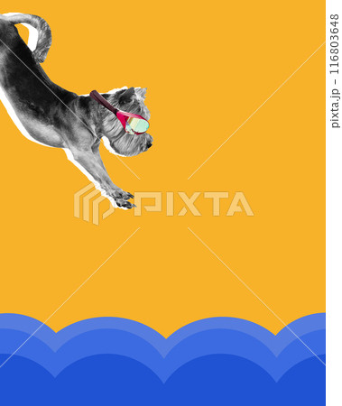Purebred dog in swimming goggles jumping into abstract wave of sea against yellow background. Contemporary art collage. 116803648
