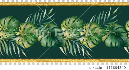 Tropical monstera leaves. Botanical illustration. Green seamless border. 116804240