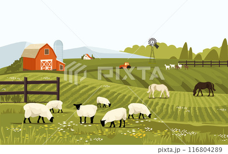Rural spring landscape countryside with farm field with green grass, flowers, trees. Farmland with house and windmill. With farm animals horse and sheep. Outdoor village scenery. Vector background 116804289