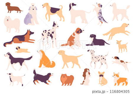 Simple dogs. Different dog breeds including a Shiba Inu, Poodle and Bulldog, Shih Tzu and Chow Chow, Dachshund and Wiener, German Shepherd and Labrador vector puppy pets set isolated 116804305