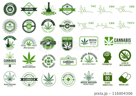Medical cannabis emblems, marijuana leaf labels, hashish manufacturing logo vector premium templates green cannabis big set 116804306