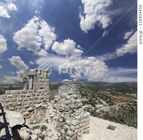 The ayyubid castle of Ajloun (built in the 12th century) in northern Jordan, Middle East 116804456