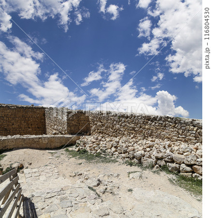 The ayyubid castle of Ajloun (built in the 12th century) in northern Jordan, Middle East 116804530