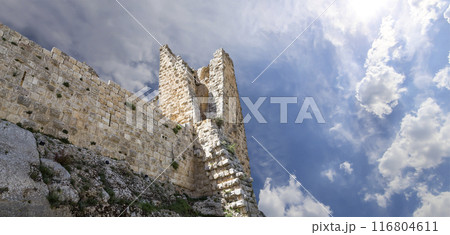 The ayyubid castle of Ajloun (built in the 12th century) in northern Jordan, Middle East 116804611