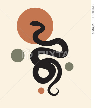 Poster with snake in minimalism 116804612
