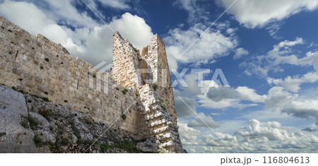 The ayyubid castle of Ajloun (built in the 12th century) in northern Jordan, Middle East 116804613