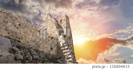 The ayyubid castle of Ajloun (built in the 12th century) in northern Jordan, Middle East 116804615