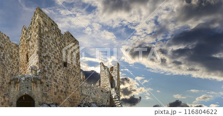 The ayyubid castle of Ajloun (built in the 12th century) in northern Jordan, Middle East 116804622