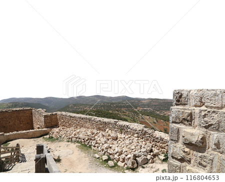 The ayyubid castle of Ajloun (built in the 12th century) in northern Jordan, Middle East. On white background 116804653