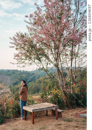 Happy asian woman resting on hill with wild himalayan cherry tree blooming in springtime 116804697