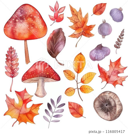 Watercolor Autumn Leaves and Mushrooms. Nature Inspired Botanical Illustration 116805417