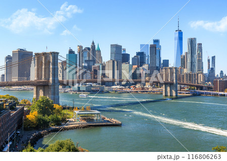 New York City skyline 116806263