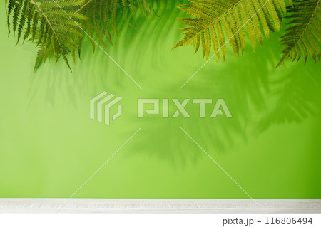 Template with empty table and wall with leaves shadow 116806494