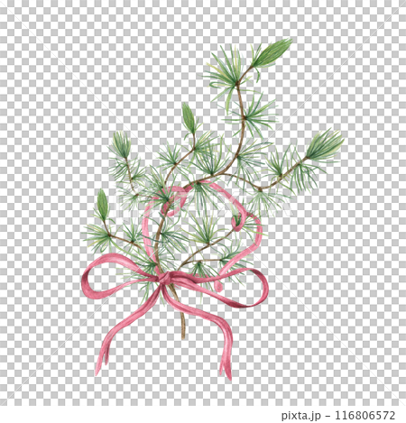Larch bouquet with dusk pink ribbon. Branch with green foliage and bow. Christmas pine tree branch with needles. Watercolor illustration. For holiday designs, invitations, or decorative projects. Larch bouquet with dusk pink ribbon. Branch with green foliage and bow. Christmas pine tree branch with needles. Watercolor illustration. For holiday designs, invitations, or decorative projects. 116806572
