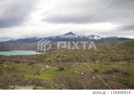 Nature on w trek, Patagonia 116806818