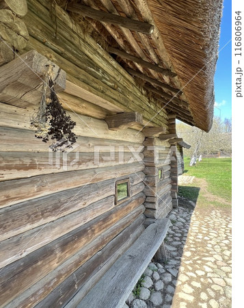 Side view of the wall of a log peasant house. In Strochitsy, Belarus. High quality photo 116806964