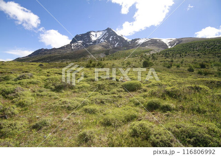 Nature on w trek, Patagonia Nature on w trek, Patagonia 116806992