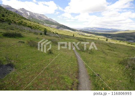 Nature on w trek, Patagonia 116806993