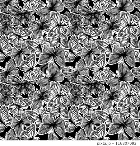 seamless pattern of graphic butterflies. Trendy animal motif wallpaper. Fashionable background for fabric, textile. hand drawing. Not AI 116807092