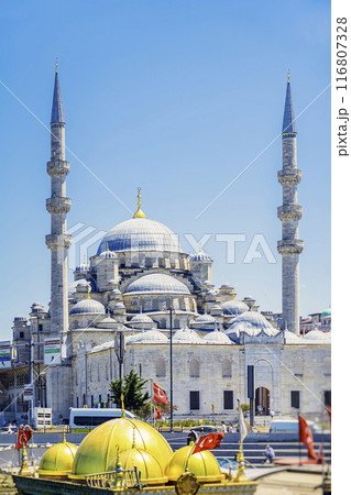 Scenic landscape with Blue Mosque in Istanbul, Turkey 116807328