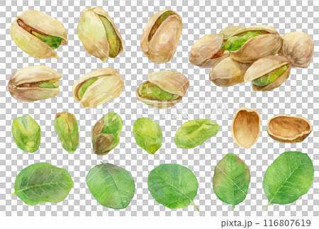 阿月渾子水彩插圖集 116807619