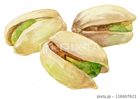 3つのピスタチオ　水彩イラスト 116807621