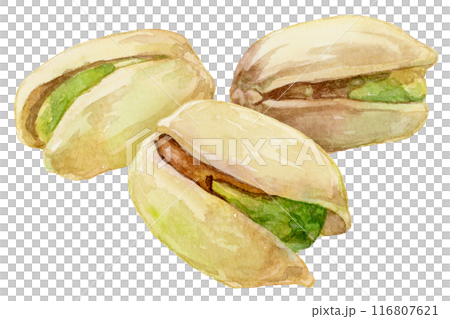 三張開心果水彩插圖 三張開心果水彩插圖 116807621