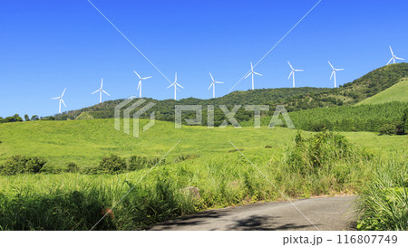 快晴の青空の下、草原の中に立つ風車がある風景を撮影 116807749