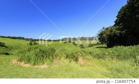 快晴の青空の下、草原の中に立つ風車がある風景を撮影 116807754