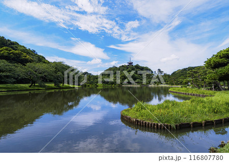 神奈川県横浜市本牧の景勝地・名勝の三渓園／三渓園の夏 116807780
