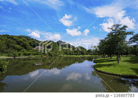神奈川県横浜市本牧の景勝地・名勝の三渓園／三渓園の夏 116807783