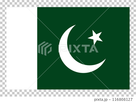 國旗巴基斯坦 116808127